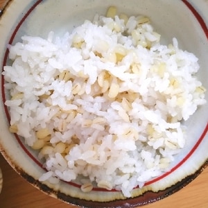 おこげもおいしい！鍋で炊くモチモチぷちぷち麦飯